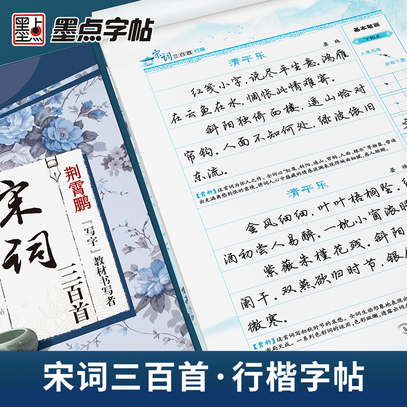 墨点字帖 行楷字帖练字大学生速成古诗词练字帖初学者手写体钢笔荆霄鹏硬笔书法临摹行楷字帖 经典文化宋词三百首