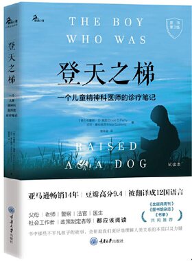 登天之梯：一个儿童精神科医师的诊疗笔记（原书第3版）