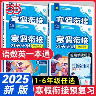 当当网 2025版理想树小学寒假衔接21天计划 一二三四五六年级语数英一本通人教假期归类复习同步预习练习册必刷题图书寒假作业