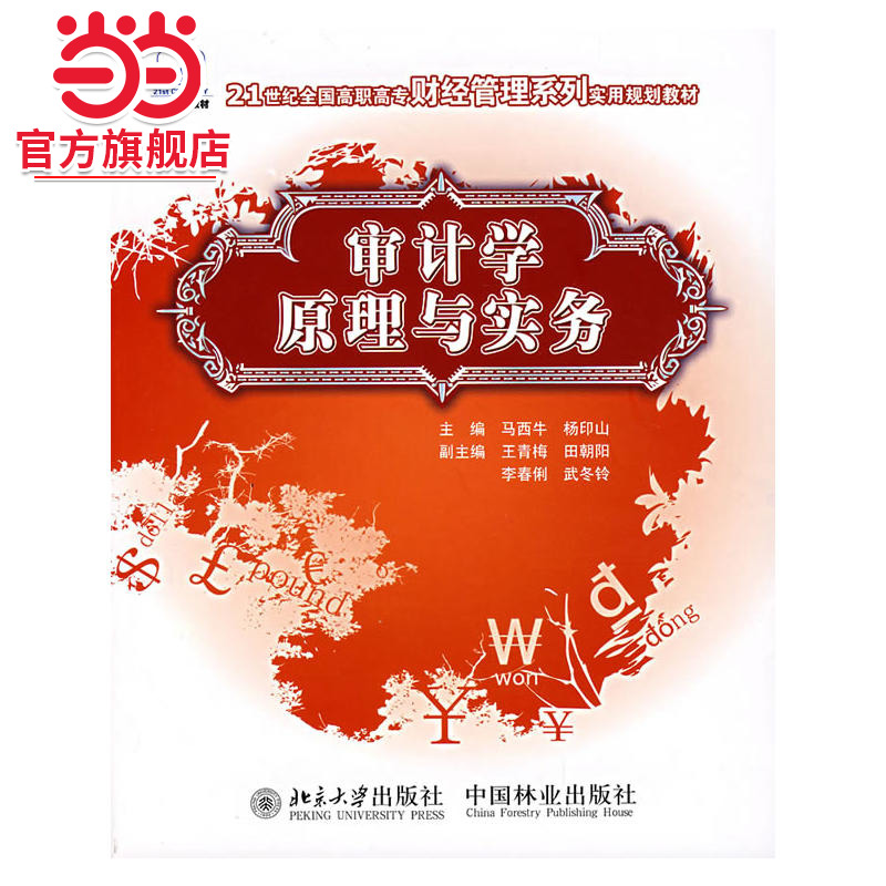 [当当网]审计学原理与实务  9787503848438北京大学出版社正版图书