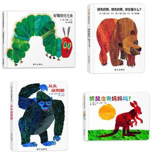 从头动到脚 好饿 熊 棕色 袋鼠也有妈妈吗 毛毛虫