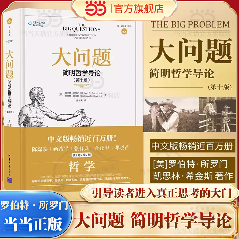 当当网 大问题 简明哲学导论 第10版 罗伯特所罗门 有趣又好读哈佛耶鲁清华北大等知名高校的哲学教材开明心智的普及读本 正版书籍