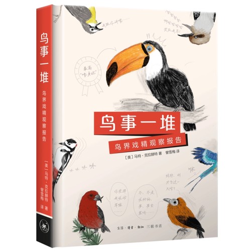 鸟事一堆：鸟界戏精观察报告