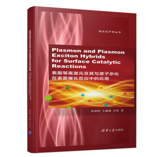及其与激子杂化在表面催化反应中 Hybrids Catalytic Reactions Surface Exciton for 应用 Plasmon 表面等离激元 and