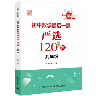 当当正版 初中数学最后一题严选120题 初中九年级数学 卢红军 电子工业出版社 初中教辅 正版书籍