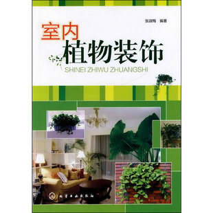 张淑梅 饰 化学工业出版 社 书籍 当当网 正版 室内植物装