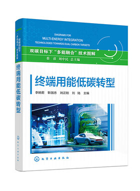 终端用能低碳转型 双碳目标下多能融合技术图解 钢铁及水泥工业低碳 零碳流程再造 交通与绿色可再生能源融合发展技术路线参考书