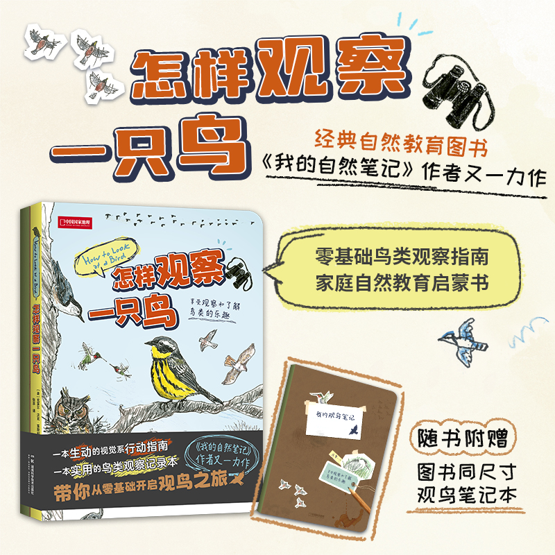 怎样观察一只鸟（拥抱自然，享受认识和观察鸟类的乐趣）