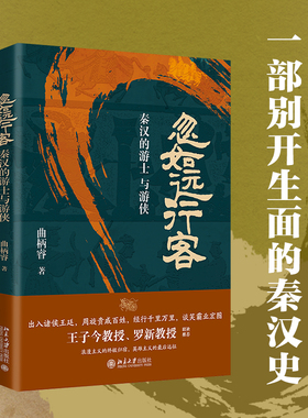 【当当网】忽如远行客：秦汉的游士与游侠 一部别开生面的秦汉史 王子今、罗新教授联袂推荐 北京大学出版社 正版书籍