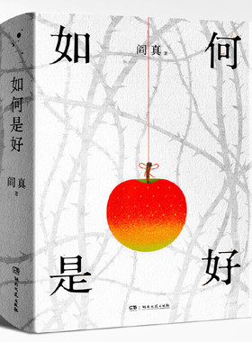 如何是好（精装版）（阎真）