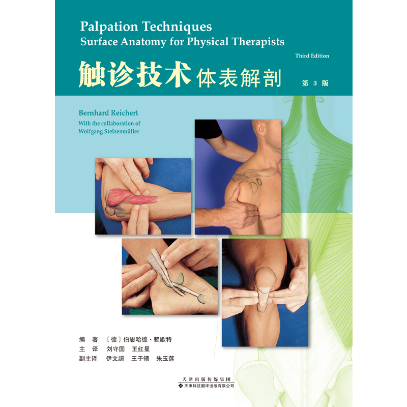 触诊技术：体表解剖