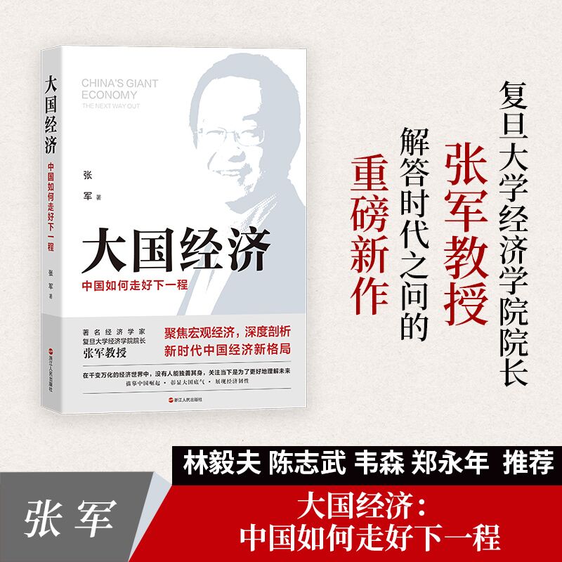 当当网大国经济：中国如何走好下一程浙江人民出版社正版书籍-封面