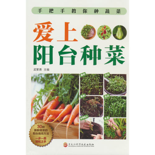 爱上阳台种菜