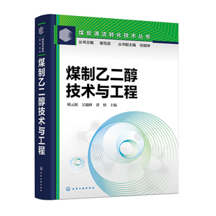煤制乙二醇技术发展现状 中国煤制乙二醇技术和工程图景 煤制乙二醇工艺系统设计分析 煤炭清洁转化技术丛书 煤制乙二醇技术与工程