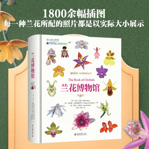 兰花当当网北京大学出版社