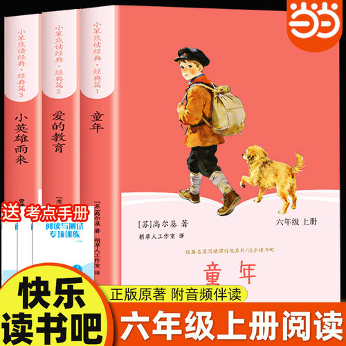 小英雄雨来爱的教育童年