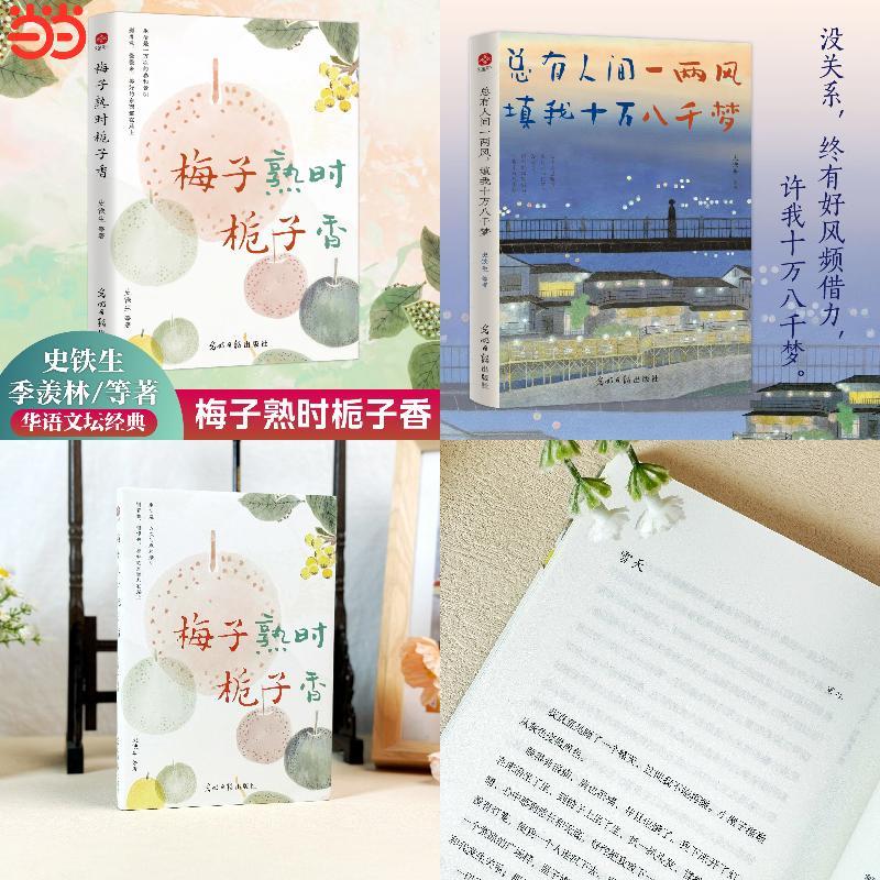 梅子熟时栀子香+总有人间一两风，填我十万八千梦
