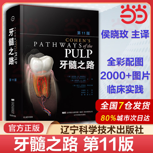 正版 牙髓之路第11版 侯晓玫 根管治疗图谱正畸书籍拔牙技巧 根管治疗书籍口腔种植书籍 口腔医学书籍牙科书籍 辽宁科学技术出版社
