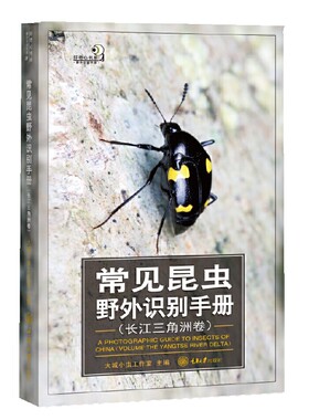 常见昆虫野外识别手册（长江三角洲卷)