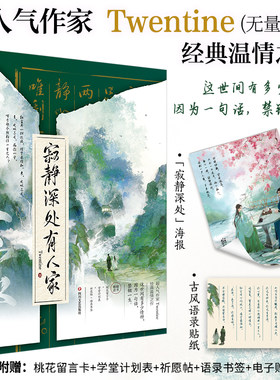 当当网寂静深处有人家Twentine