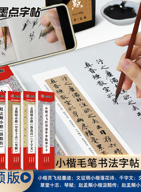 当当网 墨点小楷临摹字帖文征明草堂十志琴赋落花诗千字文小楷灵飞经赵孟俯小楷汲黯传瘦金体王羲之兰亭序行书毛笔近距离临摹字卡