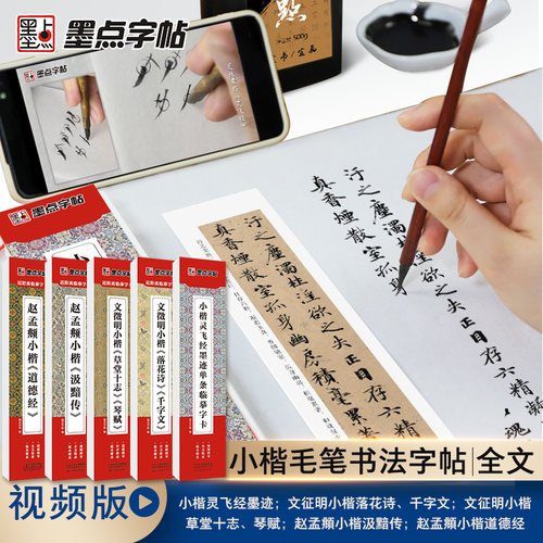 当当网 墨点小楷临摹字帖文征明草堂十志琴赋落花诗千字文小楷灵飞经赵孟俯小楷汲黯传瘦金体王羲之兰亭序行书毛笔近距离临摹字卡