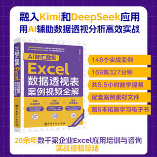 AI智汇数据：Excel数据透视表案例视频全解