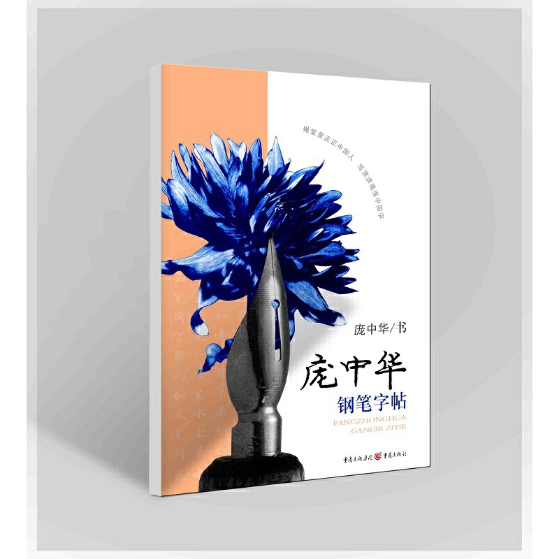 当当网 庞中华钢笔字帖入门基础训练硬笔书法字帖基本笔画初学者正楷成人大学生楷书教程钢笔练字贴临摹笔顺笔画临摹练字帖正版