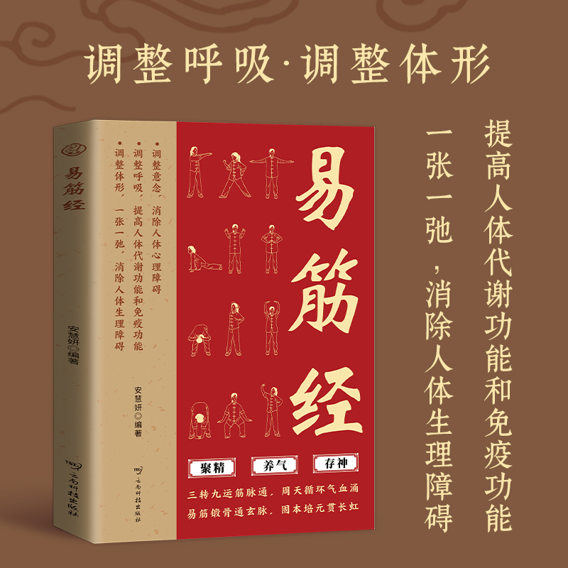 正版 图解易筋经与洗髓经 易筋经十二式养生达摩古法与少林功夫武术书籍图书古代经典传统文化消除身心障碍经典养生禅功易经书籍