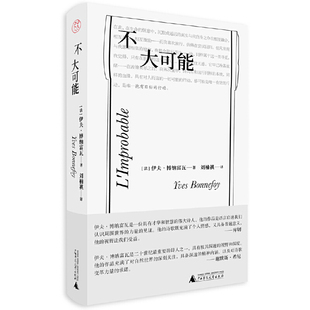 当当网 纯粹·不大可能 伊夫·博纳富瓦 纯粹Pura出品 广西师范大学出版社 正版书籍