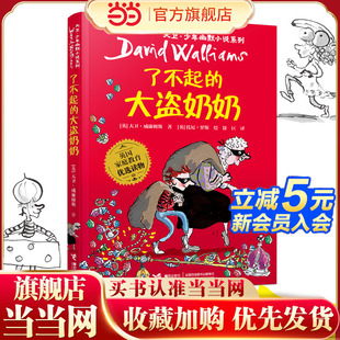 大卫·少年幽默小说系列：了不起 大盗奶奶