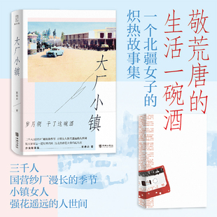 山川到沙湾 巷陌一个北疆女子 热辣滚烫故事集 当当网 现代文学小说正版 从阿勒泰 万丈青春是大盘鸡配大乌苏 畅销书籍 大厂小镇