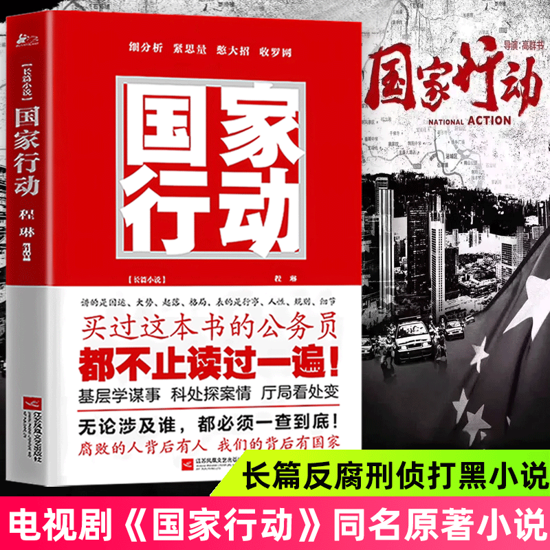 当当网 国家行动 程琳著 （修订版）新老版本随机 同名电视剧原著小说长篇反腐刑侦 官场反腐小说现当代文学 江苏凤凰文艺出版社