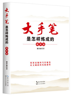 当当网 大手笔是怎样炼成的(精华版) 谢亦森 长江文艺出版社 正版书籍