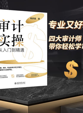 【当当网】审计实操从入门到精通 专业又好玩 前四大会计师事务所审计师带你轻松学审计 避坑指导+案例详解 北大出版社 正版书籍