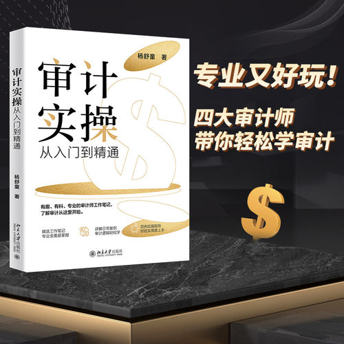 【当当网】审计实操从入门到精通 专业又好玩 前四大会计师事务所审计师带你轻松学审计 避坑指导+案例详解 北大出版社 正版书籍