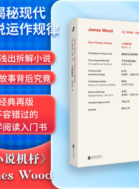 当当网 小说机杼 詹姆斯·伍德代表作经典再版文学阅读入门书 揭秘现代小说运作的规律 现代文学理论小说评论拆解解答正版畅销书籍