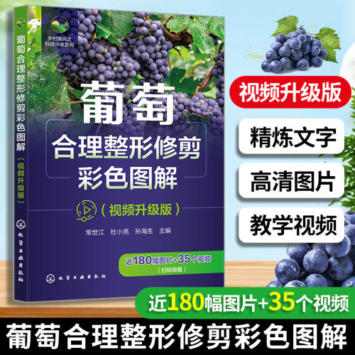 葡萄合理整形修剪彩色图解 视频升级版 乡村振兴之科技兴农系列 果树种植 葡萄合理整形修剪技术指导书籍 高校果树园艺专业参考书