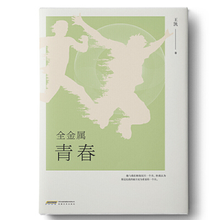 全金属青春 正版 王凯 社 书籍 安徽文艺出版 当当网