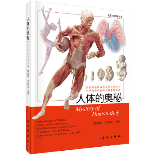当当网 人体的奥秘 生命奥秘丛书 隋鸿锦 于胜波  医学卫生医学书籍科普读物 科学出版社 正版书籍