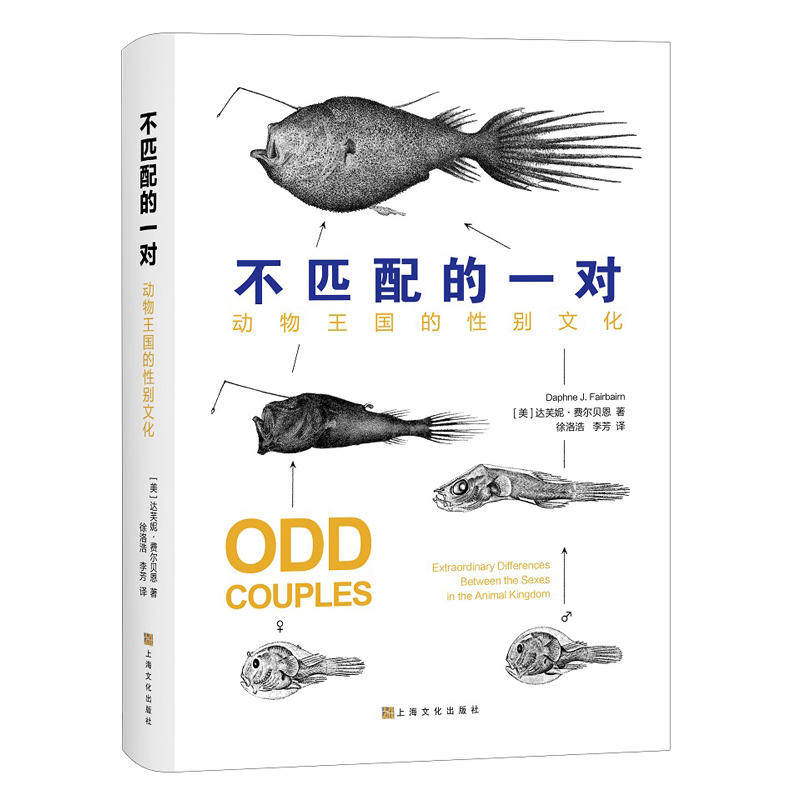 不匹配的一对——动物王国的性别文化高性价比高么？