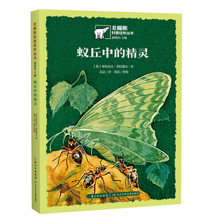 蟻丘中 北極熊科普佳作叢書 精靈