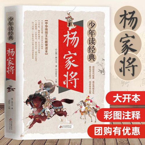 杨家将/少年读经典青少年版