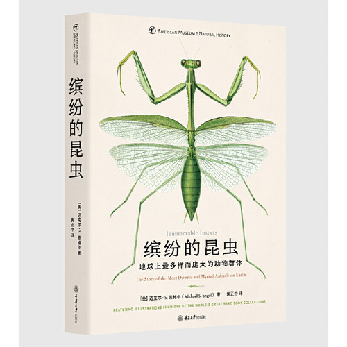 缤纷的昆虫