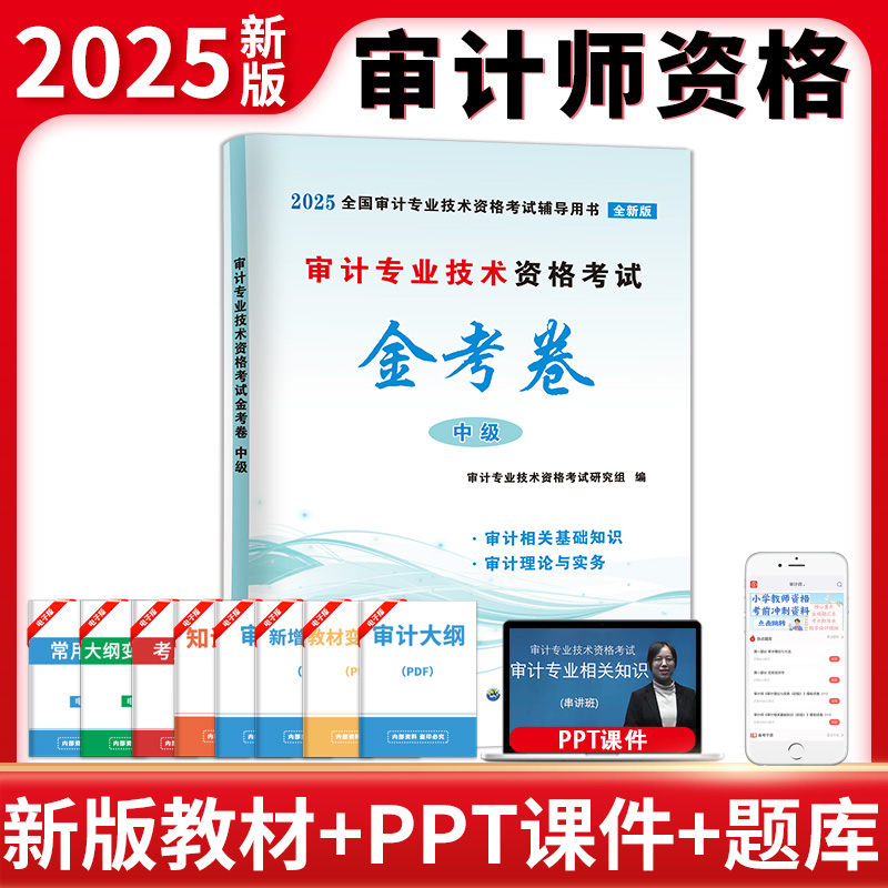 2025审计专业技术资格考试中级金考卷