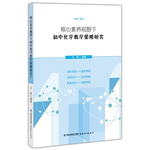 核心素养视野下初中化学教学策略研究（梦山书系）