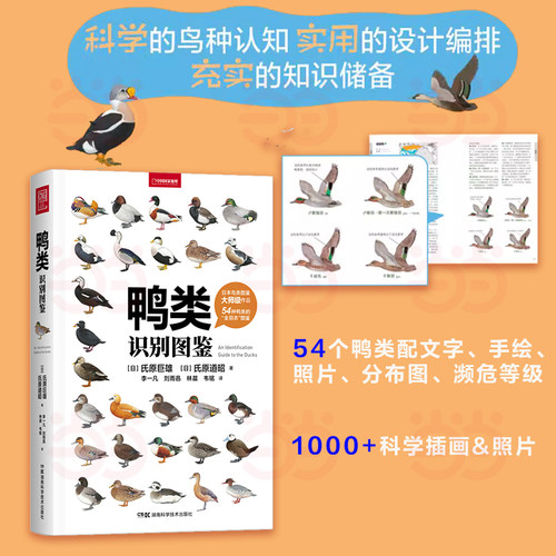 当当网 鸭类识别图鉴 中国国家地理鸟类图鉴科普图鉴书籍 鸟种认知鸭类图鉴鸭宝书鸭类鉴定大集合 鸭类基础知识 正版书籍