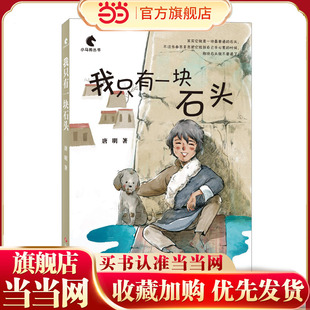 我只有一块石头 小马驹丛书系列，暖心友爱原创成长系列长篇小说，再现感人真实故事，关怀儿童心灵成长
