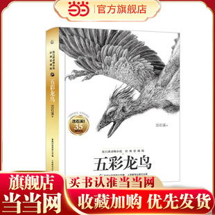 沈石溪动物小说经典爱藏版·五彩龙鸟