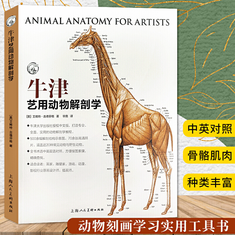 当当网 牛津艺用动物解剖学 中英对照版500余幅常见动物解剖结构示意图动物骨骼与肌肉运动结构 动物绘画技法解剖教程教学工具书籍